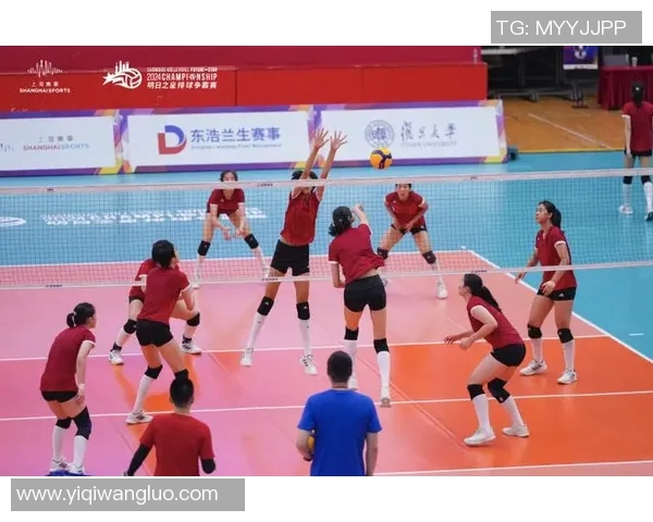 上海排球队逆袭之路揭秘精英赛中的奋斗与荣耀展现